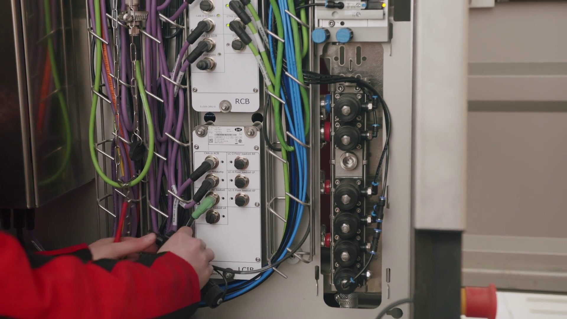 Lely Team Mitglied 7